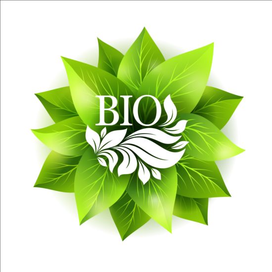 Bio green leaves vector material 06