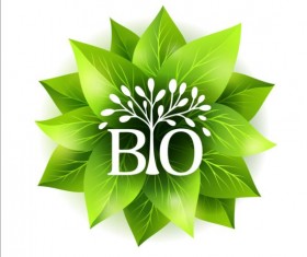 Bio green leaves vector material 07