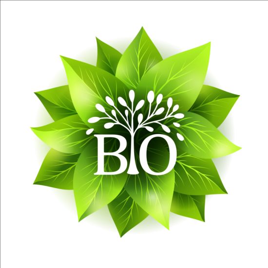 Bio green leaves vector material 07