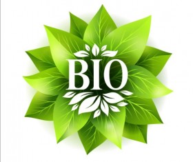 Bio green leaves vector material 08