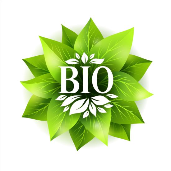 Bio green leaves vector material 08
