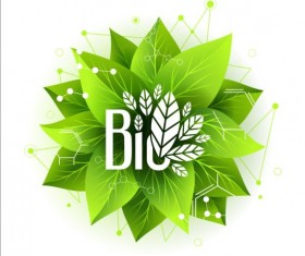 Bio green leaves with connection lines vector 01