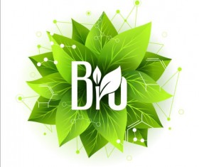 Bio green leaves with connection lines vector 02