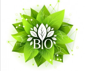 Bio green leaves with connection lines vector 03