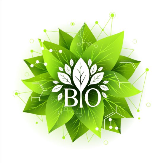 Bio green leaves with connection lines vector 03