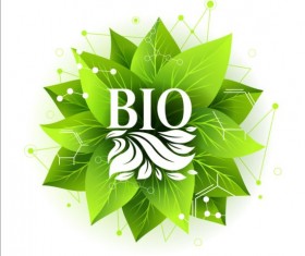 Bio green leaves with connection lines vector 04