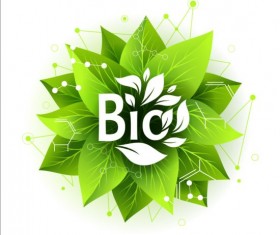 Bio green leaves with connection lines vector 05