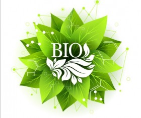 Bio green leaves with connection lines vector 06