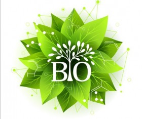 Bio green leaves with connection lines vector 07