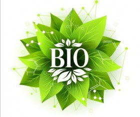 Bio green leaves with connection lines vector 08