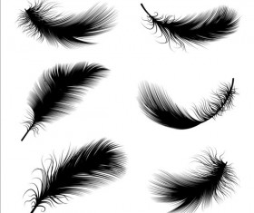 Various dird feathers set vector 02 free download