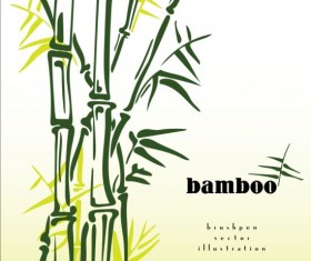 Brush pen bamboo background vector illustration 03