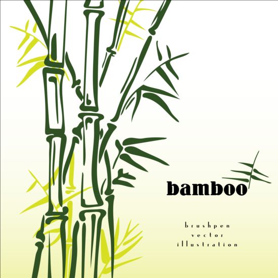 Brush pen bamboo background vector illustration 03