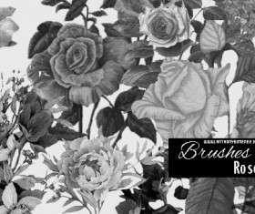 Brushes Roses vintage styles