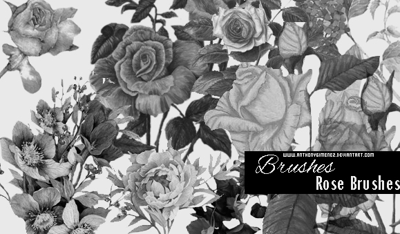 Brushes Roses vintage styles