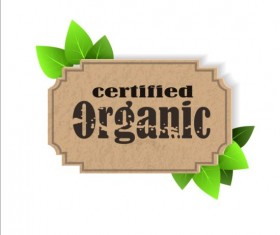 Certified organic label and green leaves vector 01