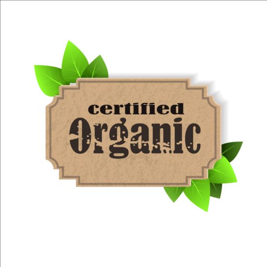 Certified organic label and green leaves vector 01