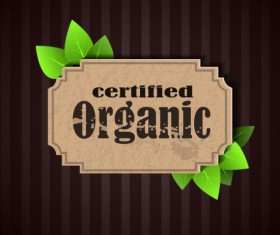 Certified organic label and green leaves vector 02