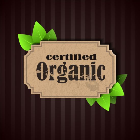 Certified organic label and green leaves vector 02