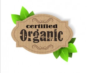Certified organic label and green leaves vector 03