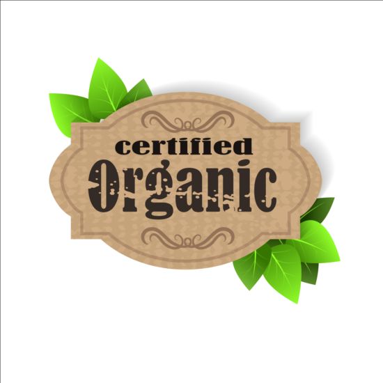 Certified organic label and green leaves vector 03