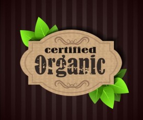 Certified organic label and green leaves vector 04