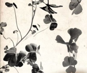 Clover flower brushes