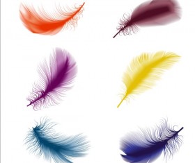 Colored bird feathers vector 01