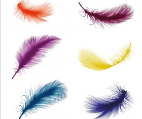 Colored bird feathers vector 02