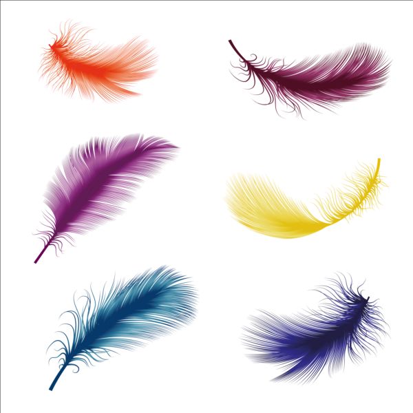 Colored bird feathers vector 02