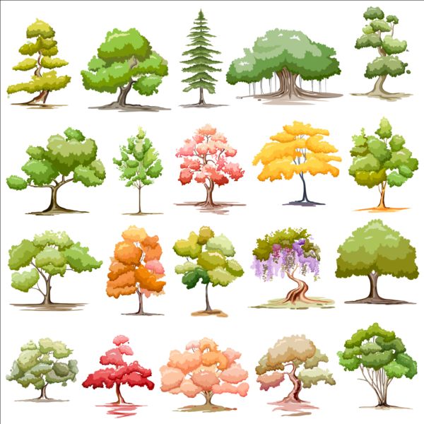 Colored trees vector set