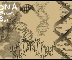 DNA structure Photoshop Brushes