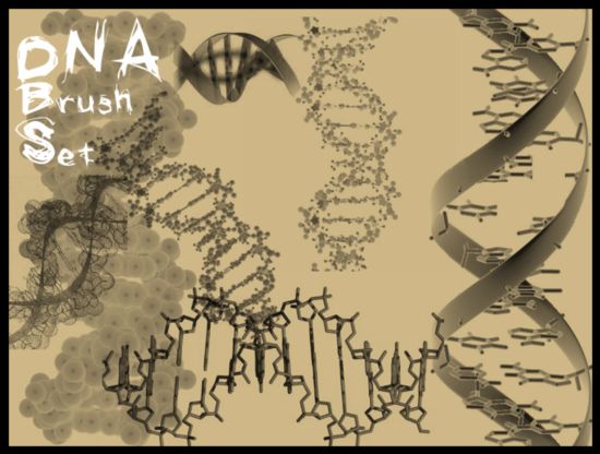 DNA structure Photoshop Brushes