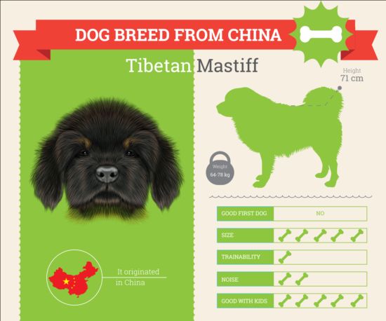Dog breed business template vector 01