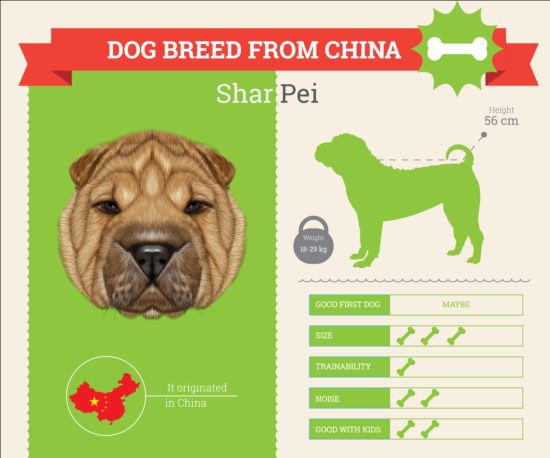 Dog breed business template vector 03