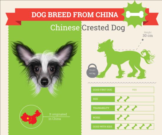 Dog breed business template vector 04