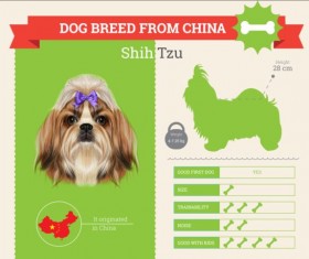 Dog breed business template vector 05