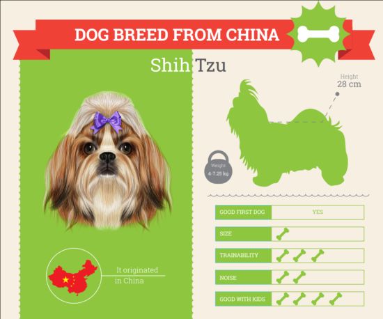 Dog breed business template vector 05