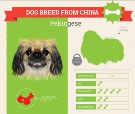 Dog breed business template vector 06