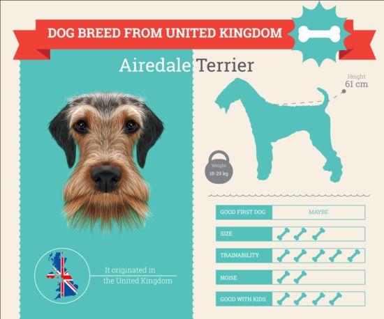 Dog breed business template vector 07