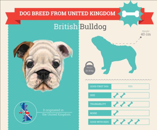 Dog breed business template vector 09