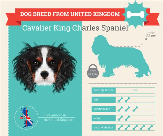 Dog breed business template vector 10