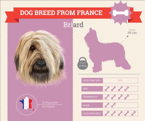 Dog breed business template vector 12