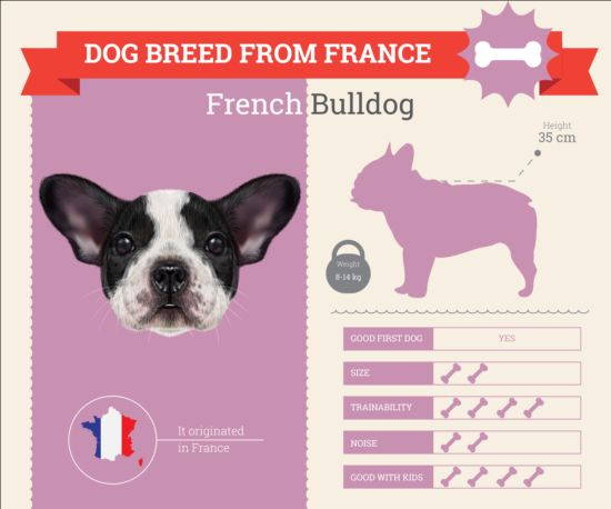 Dog breed business template vector 13 free download