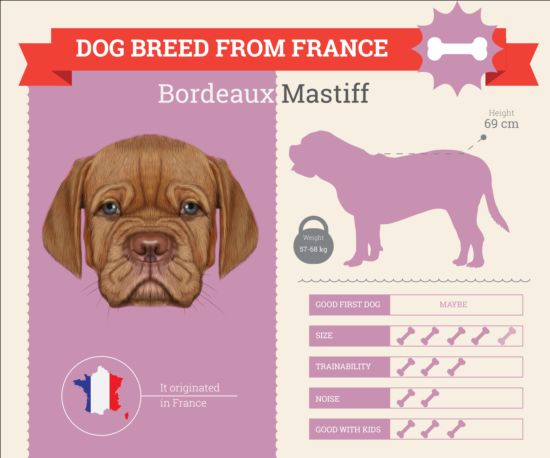 Dog breed business template vector 14