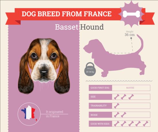 Dog breed business template vector 15
