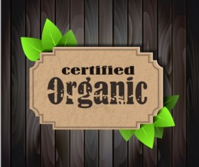 Eco nature label with gree leaves vector 01