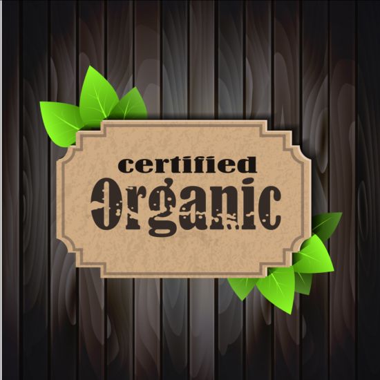 Eco nature label with gree leaves vector 01
