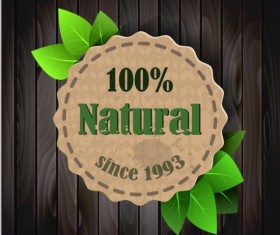 Eco nature label with gree leaves vector 02