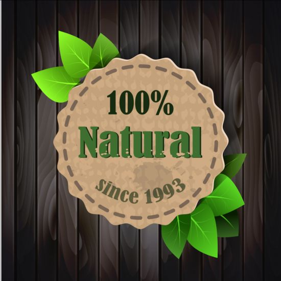 Eco nature label with gree leaves vector 02